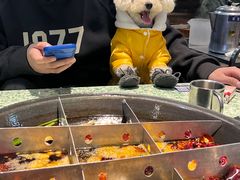 -五里关火锅(牛市口店)