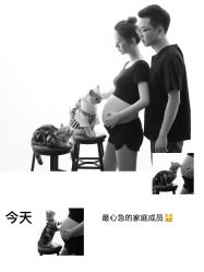 -专注孕妇照亲子照·纪田摄影