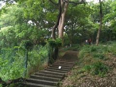 -平湖九龙山旅游度假区