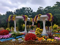 -上海共青森林公园