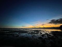 -宝安西湾红树林湿地公园