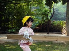 -杨梅红艺术教育(深圳南山书城教学中心)