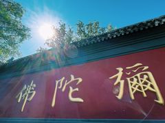 -巴渝兄弟川菜(宽街店)