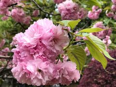 -苏州河梦清园环保主题公园