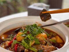 -高坎一品甲鱼庄(两河店)