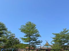 -灵玲国际马戏城