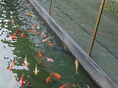 -太子园林酒家