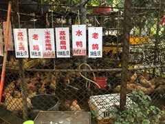 -荔城生鲜盛宴(番禺旗舰店)