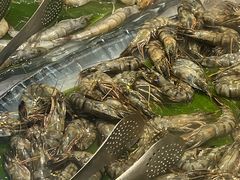 -伍棵煋炭烤自助料理·烤鳗鱼(浦东食品城店)