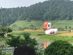 -径山花海