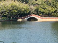 -深圳龙潭公园