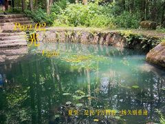 -天目山大树王景区
