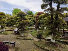 -武汉紫薇都市田园