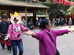 -西双版纳原始森林公园