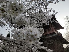 -西安青龙寺遗址景区
