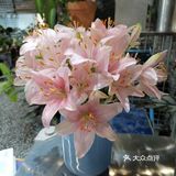          🌸鲜花店里喝咖啡☕️
