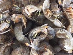 -何庄子阿米玛玛农产品批发市场
