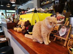 -咖法森林·咖啡  酒吧(天河店)