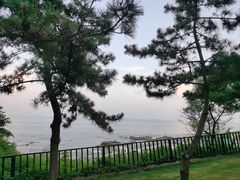 -青岛海景花园大酒店·白果树餐厅青岛菜