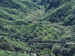 -大岭沟猕猴桃谷风景区