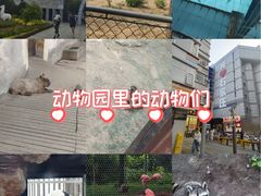 -石家庄市动物园