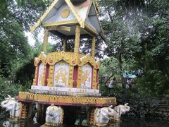 -瑞丽独树成林风景区