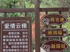 -浏阳石牛寨风景区
