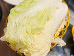 大白菜-姥家大锅台水库渔家