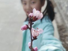 -北京鹫峰国家森林公园