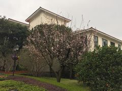 -上海虹桥迎宾馆