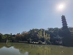 -江心屿景区