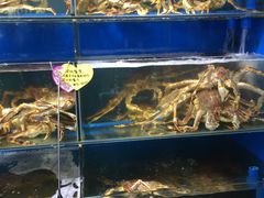 -蚝专家(北滘店)