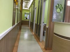 -瑞鹏宠物医院·宠保定点·心脏科·内科(御桥分院)