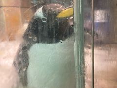-哈尔滨波塞冬海底世界