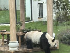 -无锡动物园·太湖欢乐园