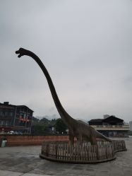 -恐龙探索乐园(磁器口店)