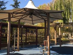 -大兴滨河森林公园