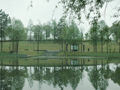 -洋湖国家湿地公园