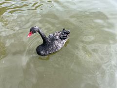 -静之湖度假区