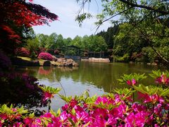 -四明山国家森林公园