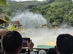 -西双版纳原始森林公园