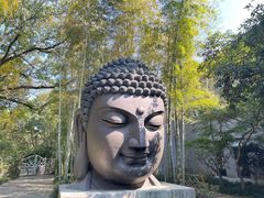 -杭州植物园
