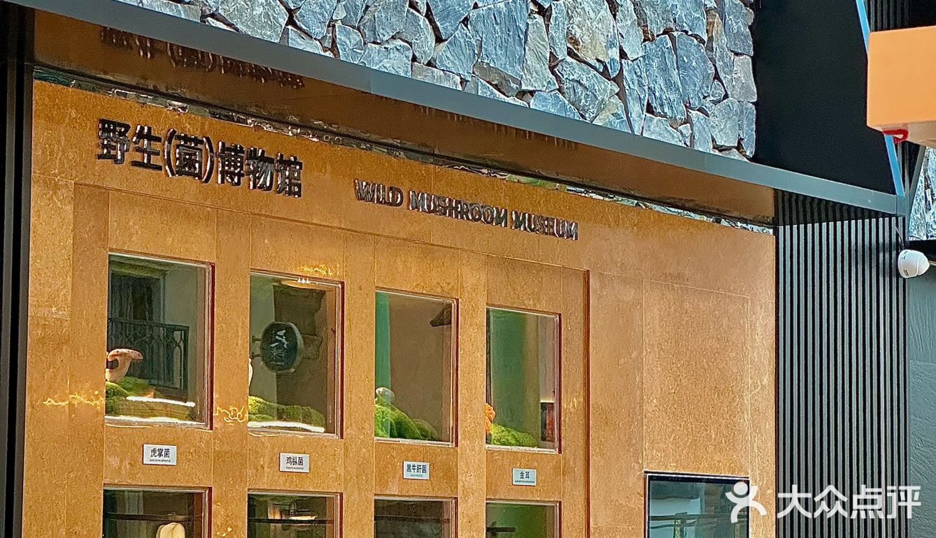 见手青真的会见到跳舞💃🏻小人…………吗