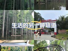 -波尔登森林公园