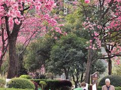 -翠湖公园