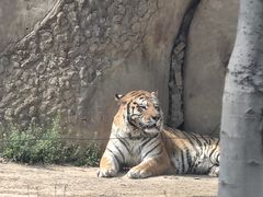 -秦皇岛野生动物园