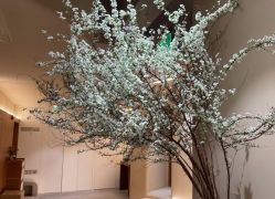 -阿南达·瑜伽普拉提·阿育吠陀疗愈中心