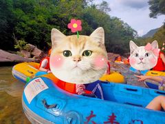 -香江大丰水峡谷漂流