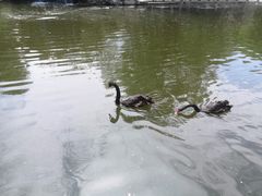 -石家庄市动物园