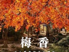 -秋霞圃